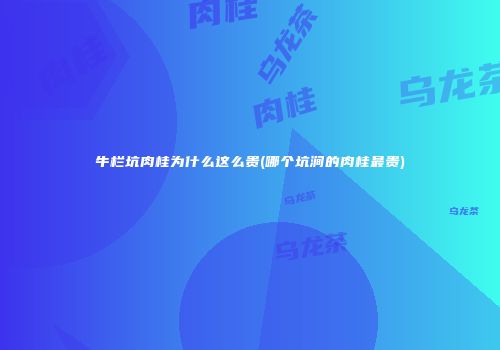 牛栏坑肉桂为什么这么贵(哪个坑涧的肉桂最贵)