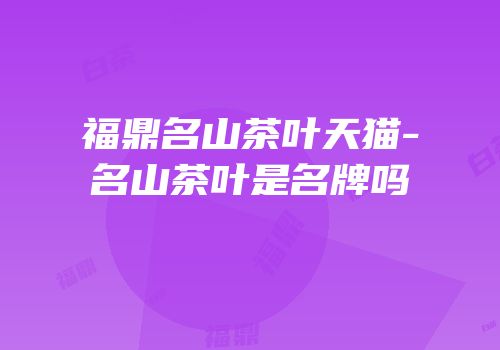 福鼎名山茶叶天猫-名山茶叶是名牌吗