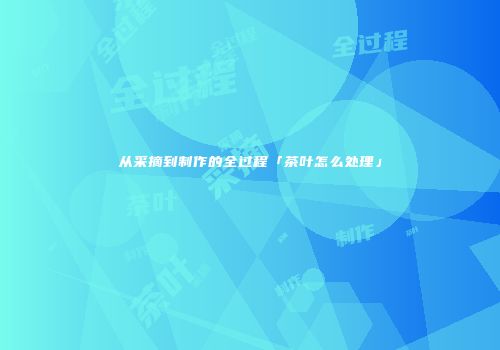 从采摘到制作的全过程「茶叶怎么处理」