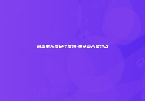 凤凰单丛茶是红茶吗-单丛雪片茶特点