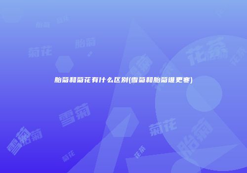 胎菊和菊花有什么区别(雪菊和胎菊谁更寒)