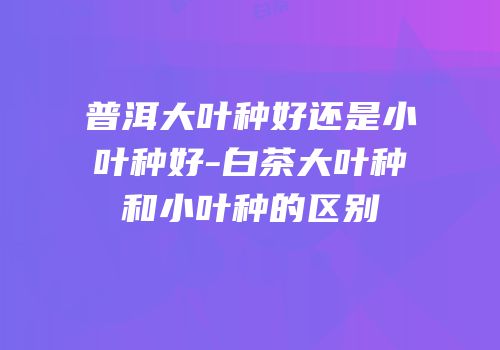 普洱大叶种好还是小叶种好-白茶大叶种和小叶种的区别