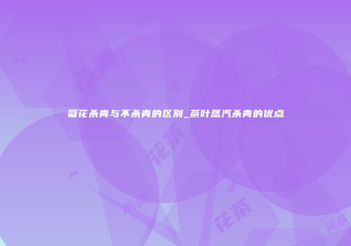 菊花杀青与不杀青的区别_茶叶蒸汽杀青的优点