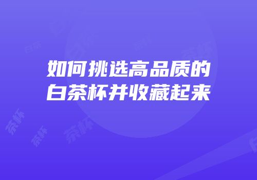 如何挑选高品质的白茶杯并收藏起来