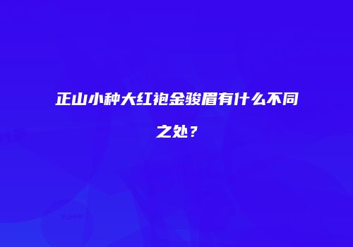 正山小种大红袍金骏眉有什么不同之处？