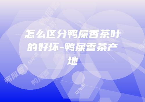 怎么区分鸭屎香茶叶的好坏-鸭屎香茶产地