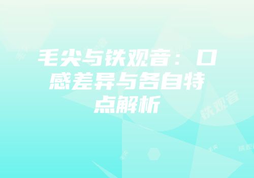 毛尖与铁观音：口感差异与各自特点解析
