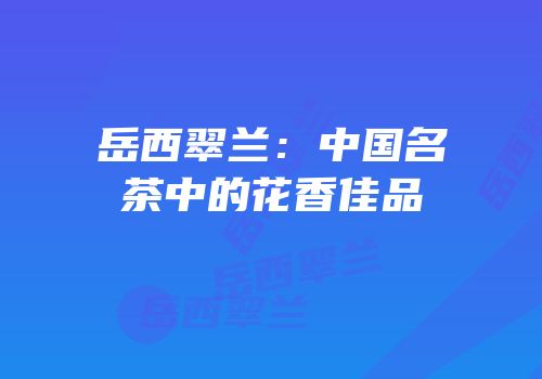 岳西翠兰：中国名茶中的花香佳品
