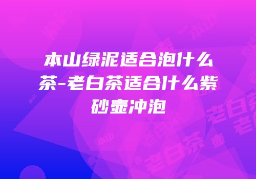 本山绿泥适合泡什么茶-老白茶适合什么紫砂壶冲泡