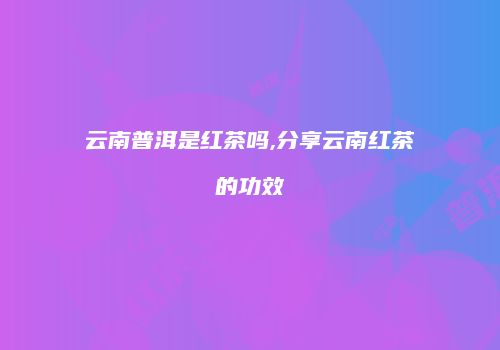 云南普洱是红茶吗,分享云南红茶的功效