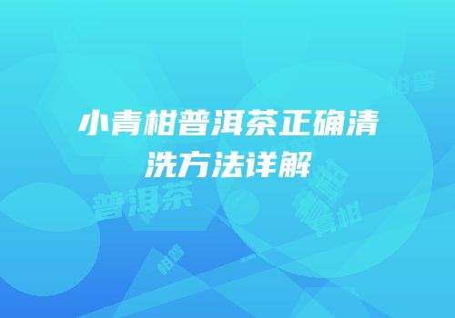 小青柑普洱茶正确清洗方法详解