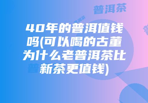 40年的普洱值钱吗(可以喝的古董为什么老普洱茶比新茶更值钱)