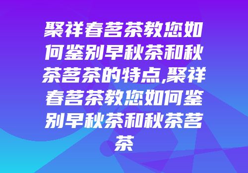 聚祥春茗茶教您如何鉴别早秋茶和秋茶茗茶的特点,聚祥春茗茶教您如何鉴别早秋茶和秋茶茗茶