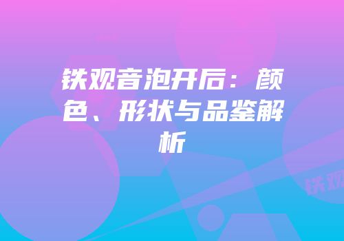铁观音泡开后：颜色、形状与品鉴解析