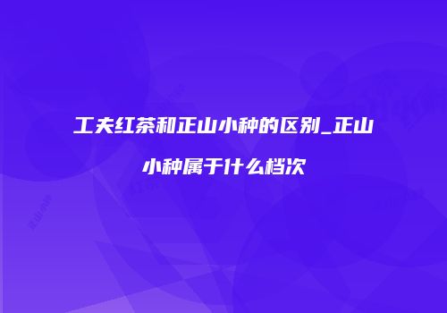 工夫红茶和正山小种的区别_正山小种属于什么档次