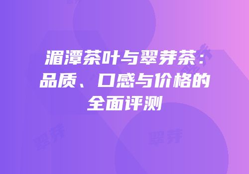 湄潭茶叶与翠芽茶：品质、口感与价格的全面评测