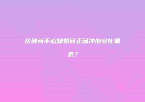 茯砖新手必知如何正确冲泡安化黑茶？