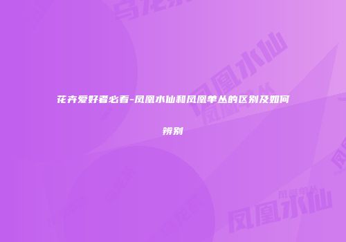 花卉爱好者必看-凤凰水仙和凤凰单丛的区别及如何辨别