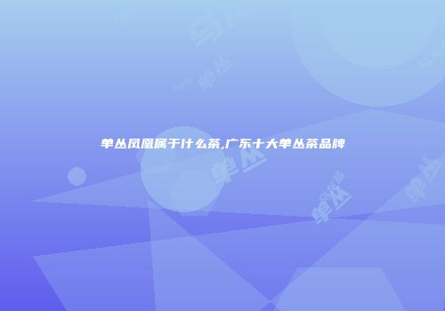 单丛凤凰属于什么茶,广东十大单丛茶品牌