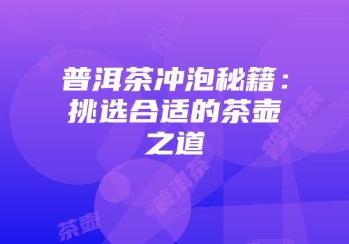 普洱茶冲泡秘籍：挑选合适的茶壶之道