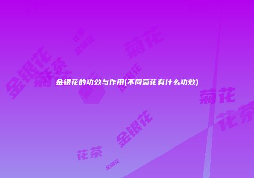 金银花的功效与作用(不同菊花有什么功效)