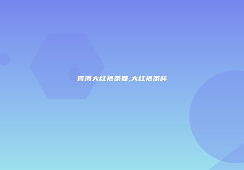 普洱大红袍茶壶,大红袍茶杯