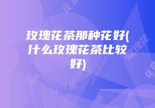 玫瑰花茶那种花好(什么玫瑰花茶比较好)