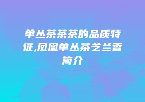 单丛茶茶茶的品质特征,凤凰单丛茶芝兰香简介