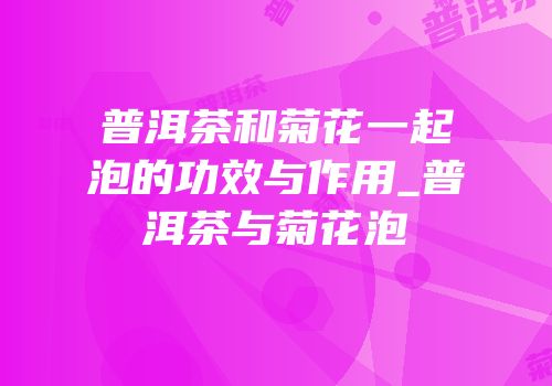 普洱茶和菊花一起泡的功效与作用_普洱茶与菊花泡
