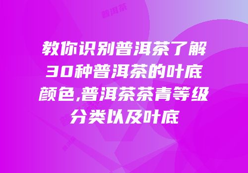 教你识别普洱茶了解30种普洱茶的叶底颜色,普洱茶茶青等级分类以及叶底