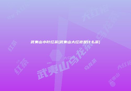 武夷山小叶红茶(武夷山大红袍是什么茶)