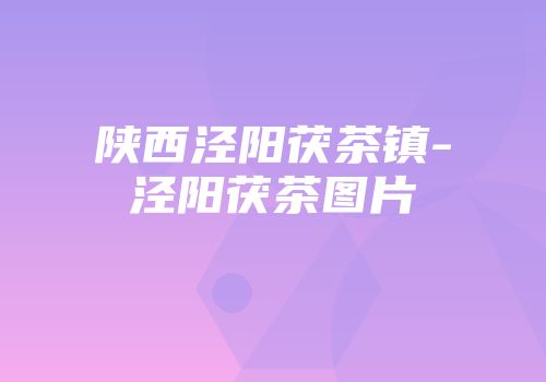 陕西泾阳茯茶镇-泾阳茯茶图片