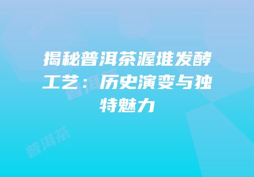 揭秘普洱茶渥堆发酵工艺：历史演变与独特魅力