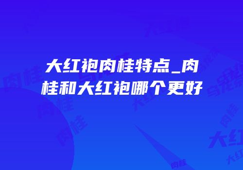 大红袍肉桂特点_肉桂和大红袍哪个更好