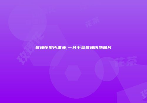 玫瑰花图片唯美,一只手拿玫瑰伤感图片