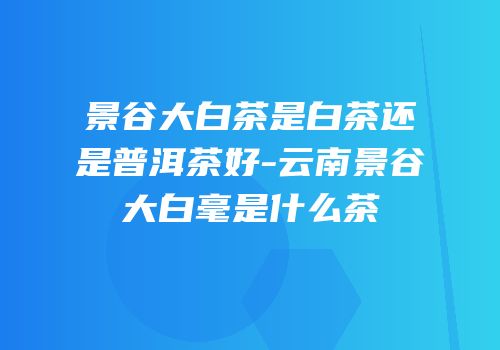 景谷大白茶是白茶还是普洱茶好-云南景谷大白毫是什么茶