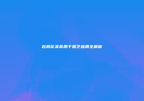 杜鹃花茶食用于园艺应用全解析