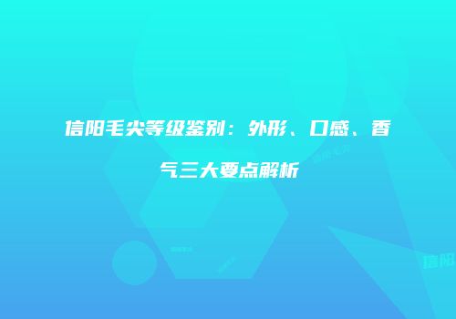 信阳毛尖等级鉴别：外形、口感、香气三大要点解析