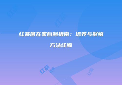 红茶菌在家自制指南：培养与繁殖方法详解