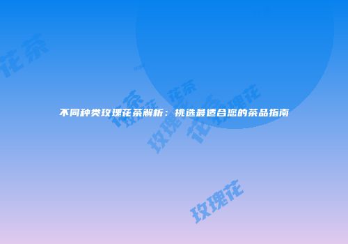 不同种类玫瑰花茶解析：挑选最适合您的茶品指南