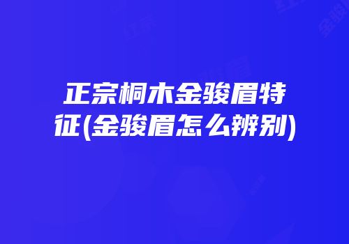 正宗桐木金骏眉特征(金骏眉怎么辨别)