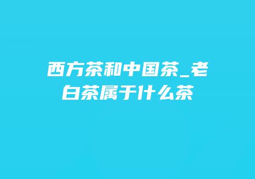 西方茶和中国茶_老白茶属于什么茶
