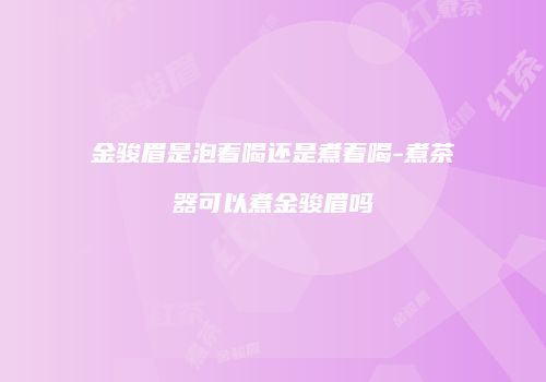 金骏眉是泡着喝还是煮着喝-煮茶器可以煮金骏眉吗