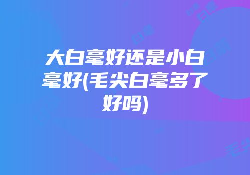 大白毫好还是小白毫好(毛尖白毫多了好吗)