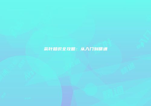 茶叶知识全攻略：从入门到精通