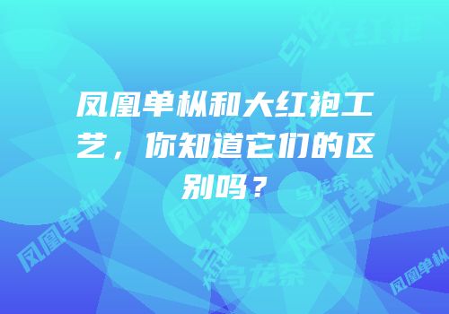 凤凰单枞和大红袍工艺，你知道它们的区别吗？