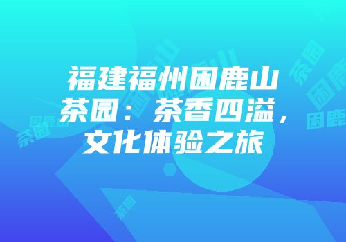 福建福州困鹿山茶园：茶香四溢，文化体验之旅