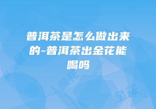 普洱茶是怎么做出来的-普洱茶出金花能喝吗
