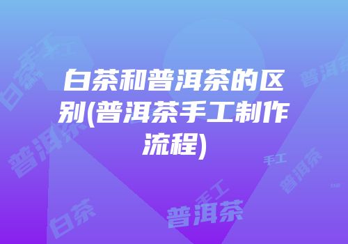 白茶和普洱茶的区别(普洱茶手工制作流程)