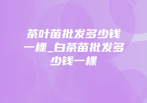 茶叶苗批发多少钱一棵_白茶苗批发多少钱一棵